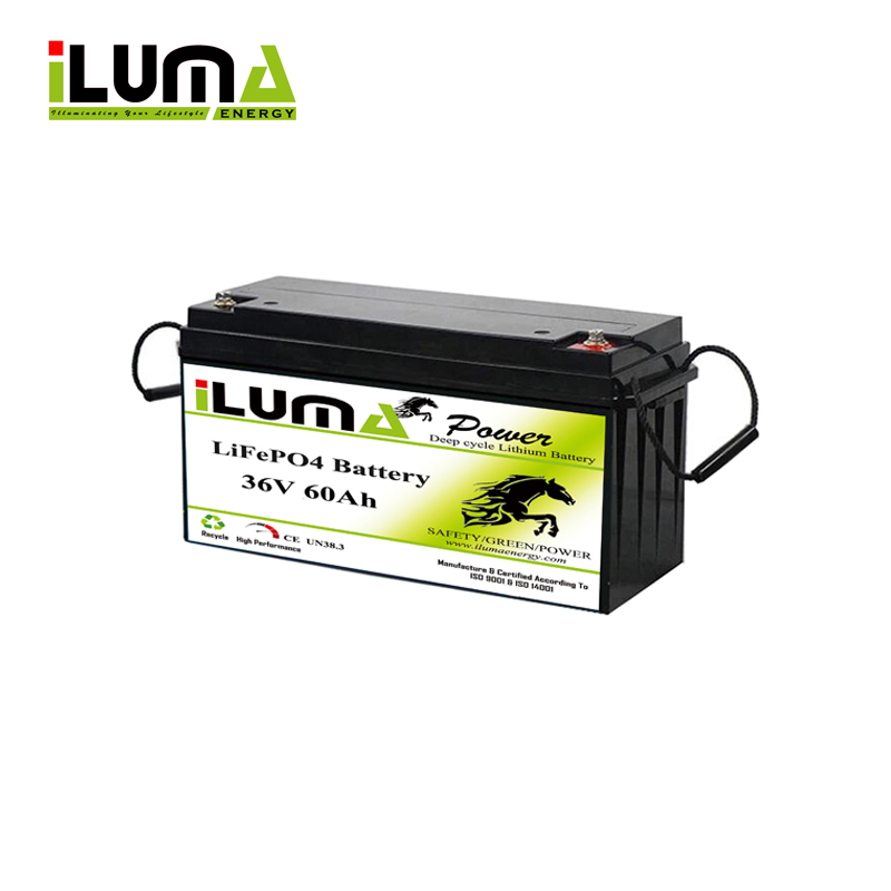 36V 60Ah Lithium Battery